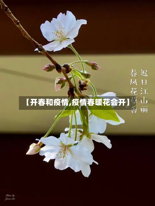 【开春和疫情,疫情春暖花会开】