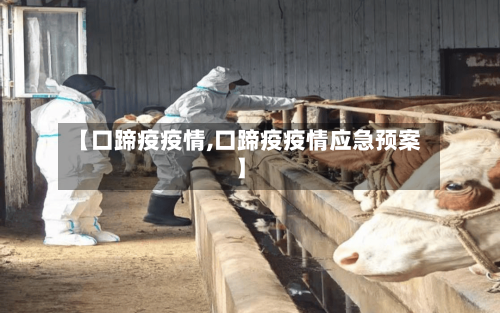 【口蹄疫疫情,口蹄疫疫情应急预案】-第2张图片