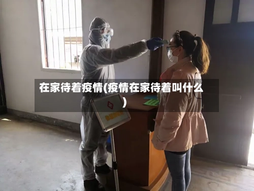 在家待着疫情(疫情在家待着叫什么)
