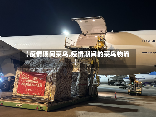 【疫情期间菜鸟,疫情期间的菜鸟物流】-第2张图片