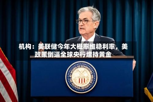 机构：美联储今年大概率维稳利率，美政策倒逼全球央行增持黄金-第3张图片
