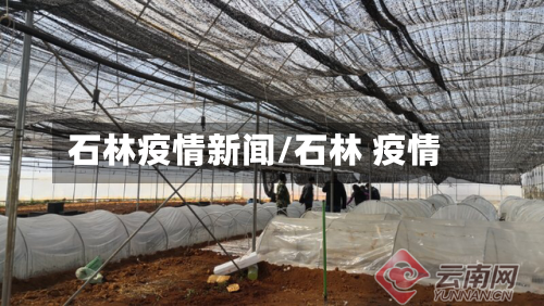 石林疫情新闻/石林 疫情