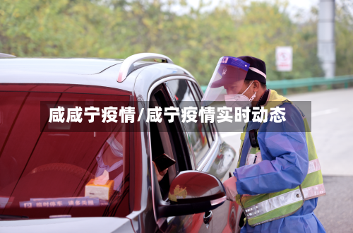 咸咸宁疫情/咸宁疫情实时动态-第2张图片