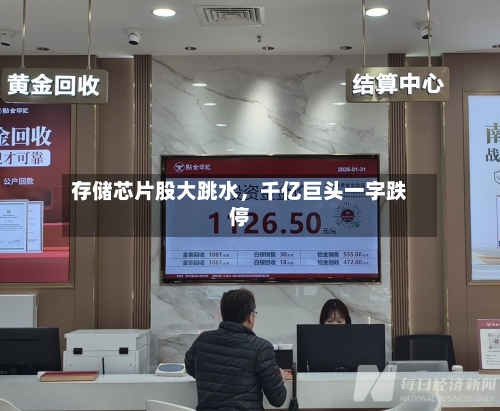 存储芯片股大跳水	，千亿巨头一字跌停-第2张图片